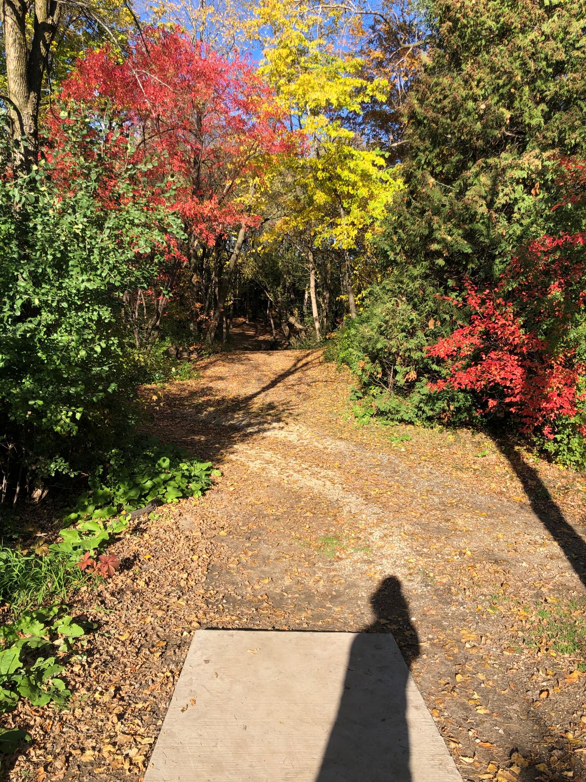 Hole 6 tee pad look