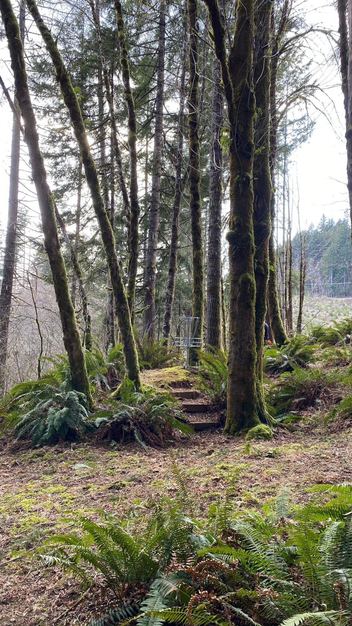 Hole 3.