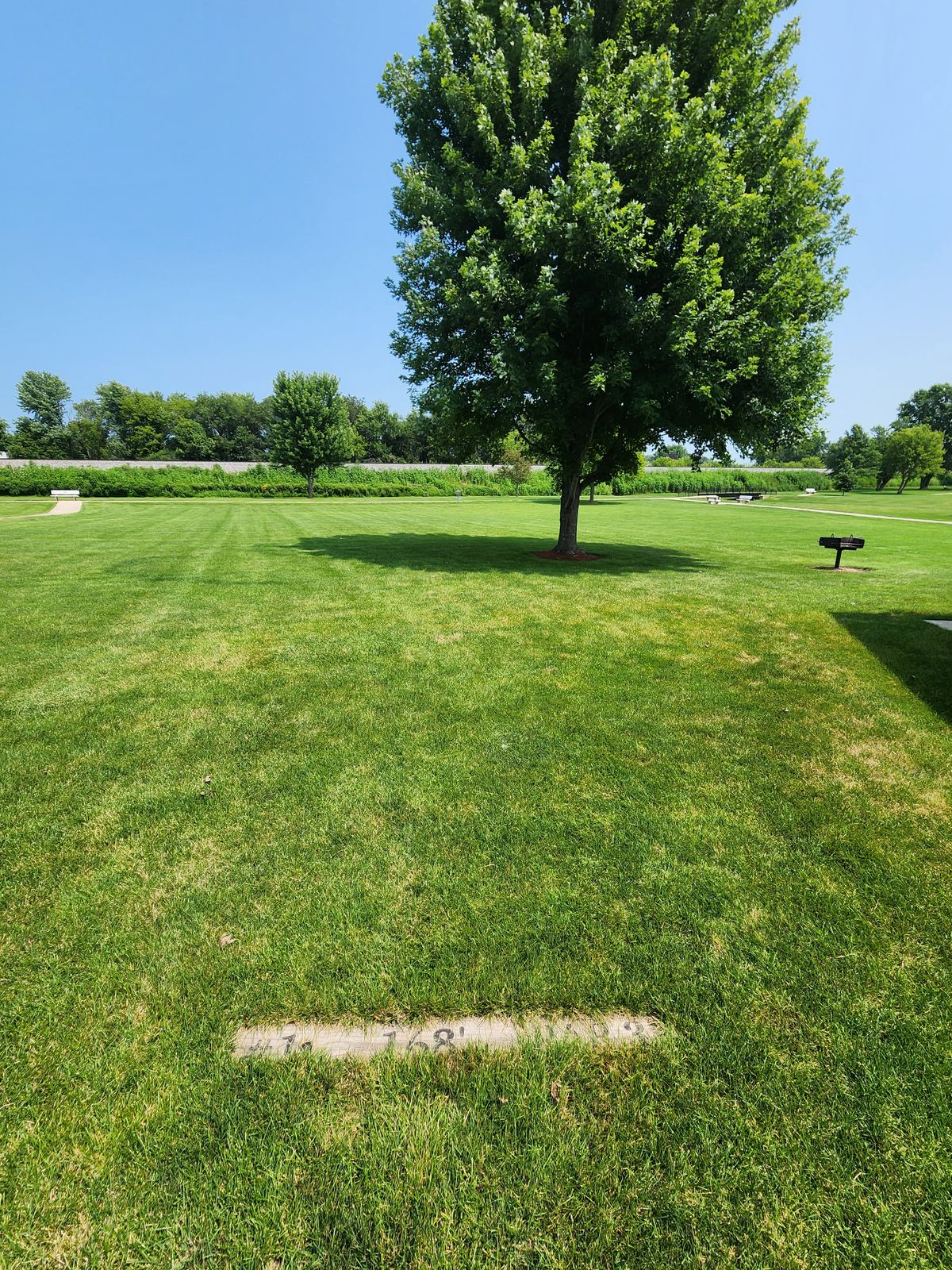 1st tee, just to the West of the pavilion.