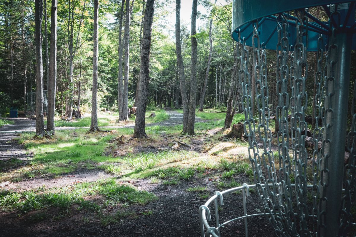 Hole 15 Basket