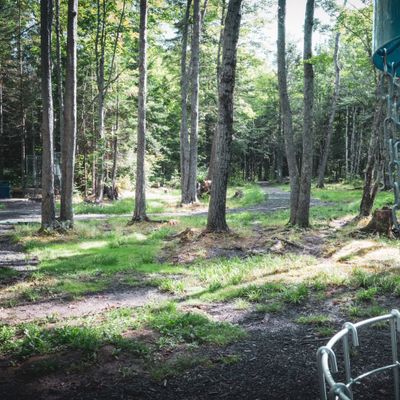 Hole 15 Basket