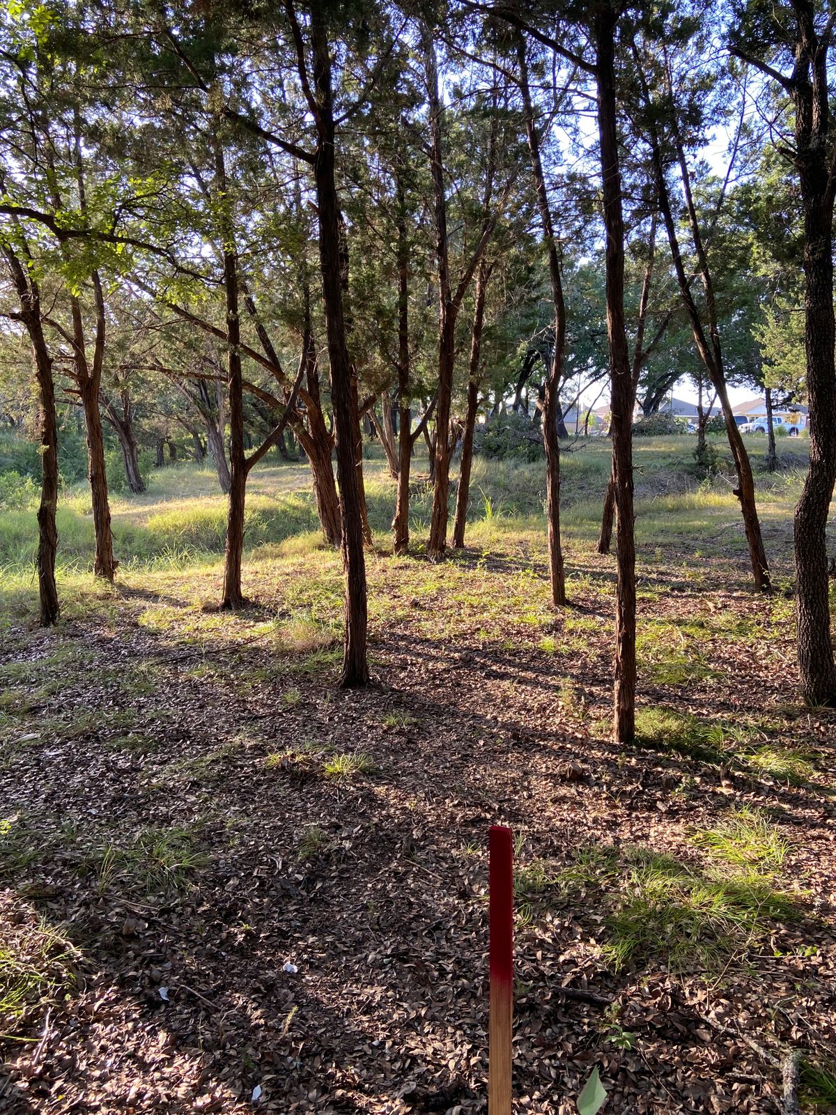 Before the basket.  Looking back down the fairway on hole 1.