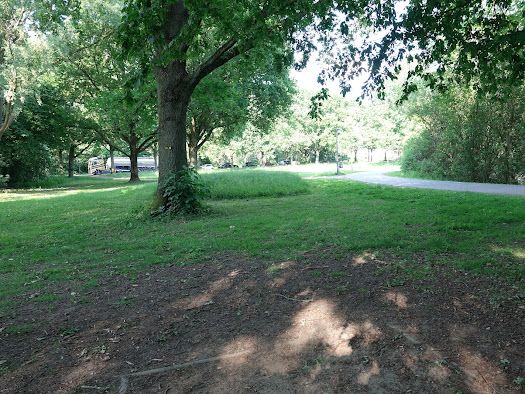 Tee 11