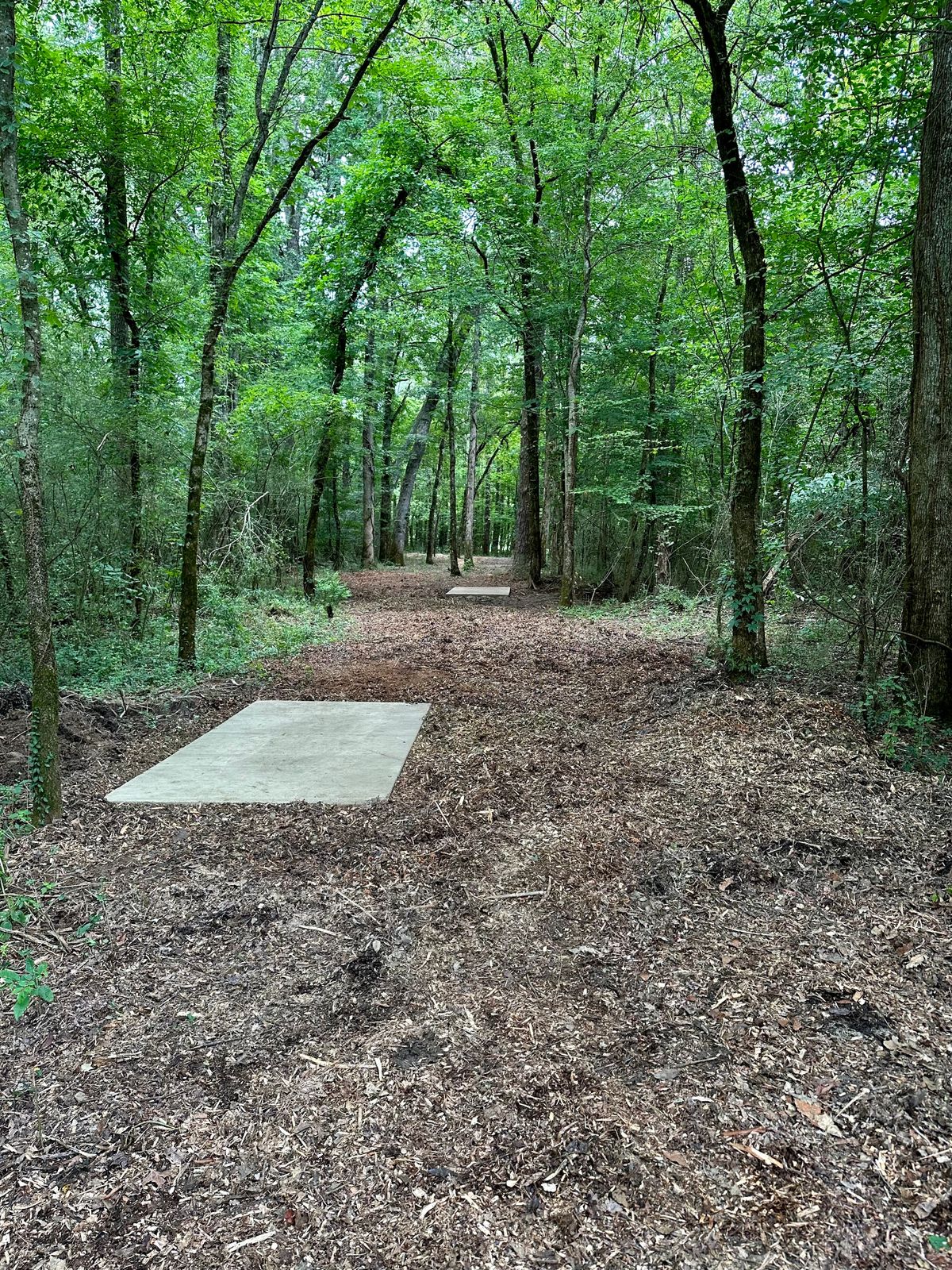 Hole 8