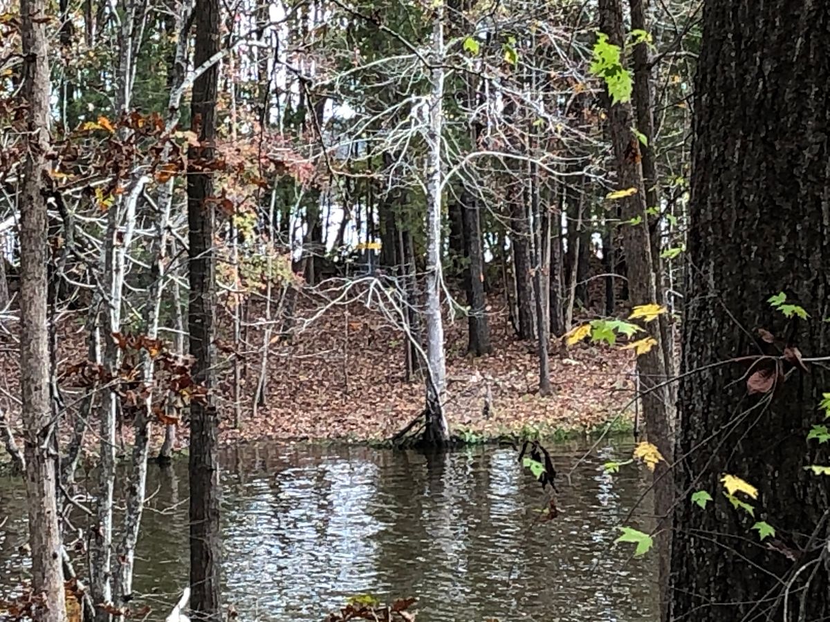 Nice shot over water hole 9