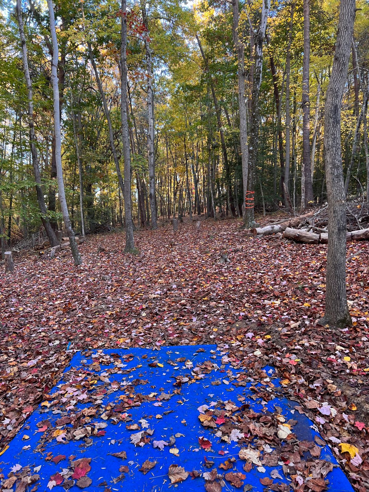 Hole 16