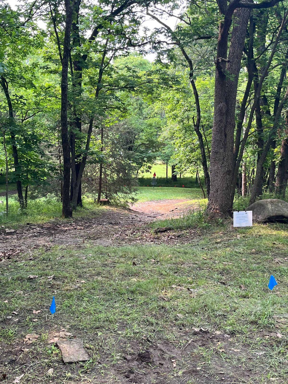 Hole 4