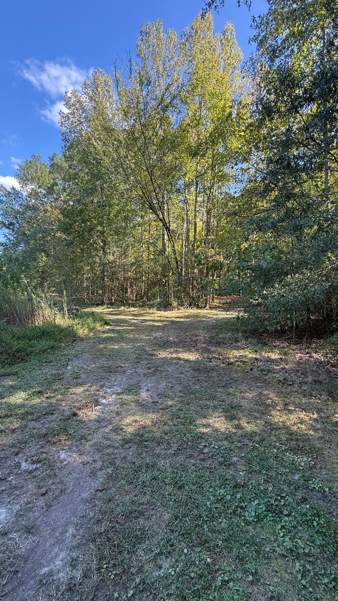 Take the right path to 17