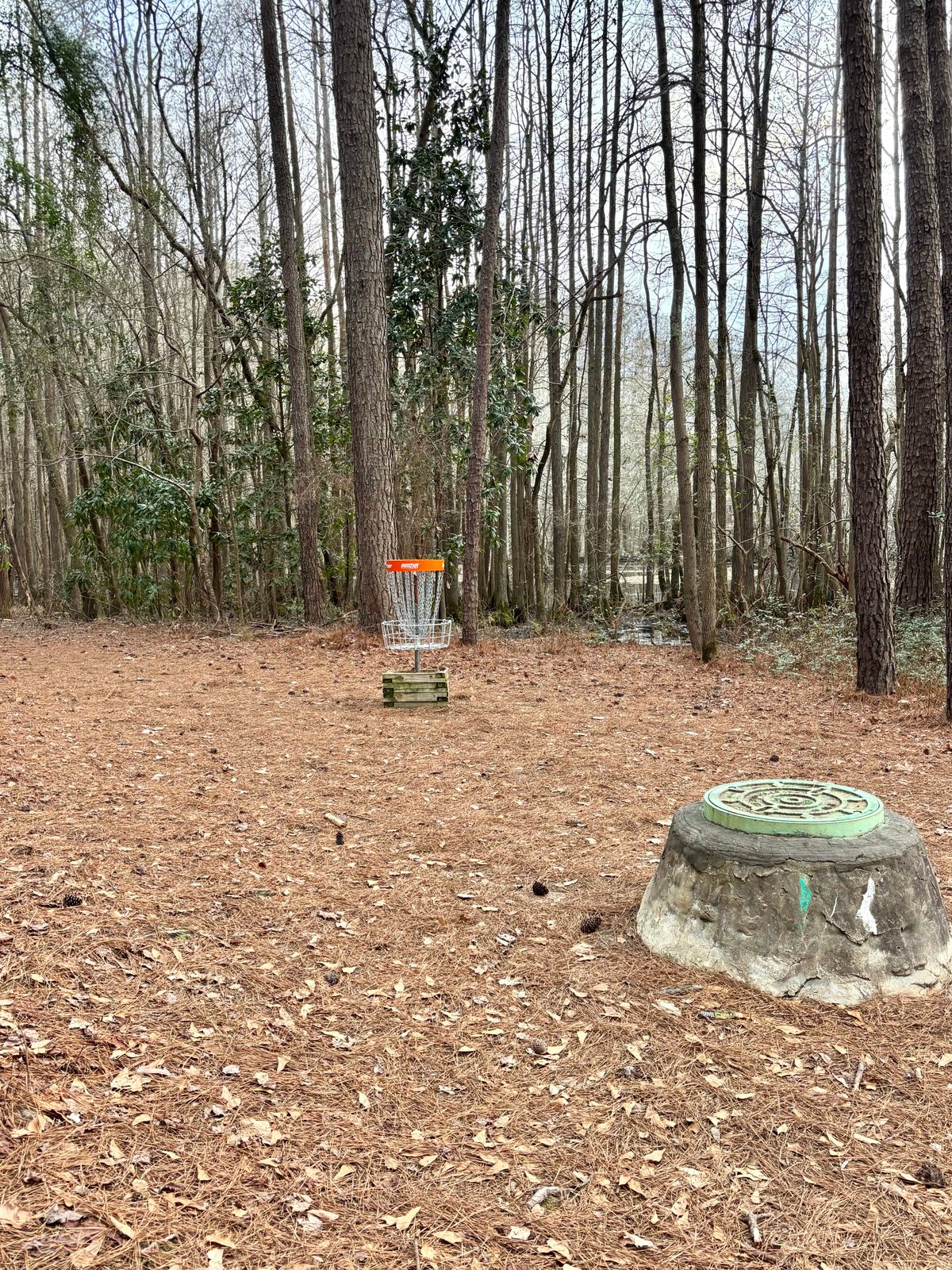 Hole 4 Basket