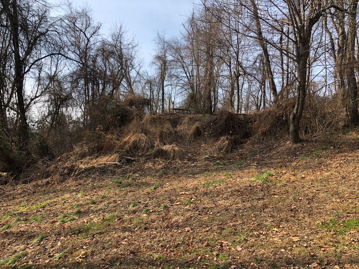 Looking up at hole 3 tee pad