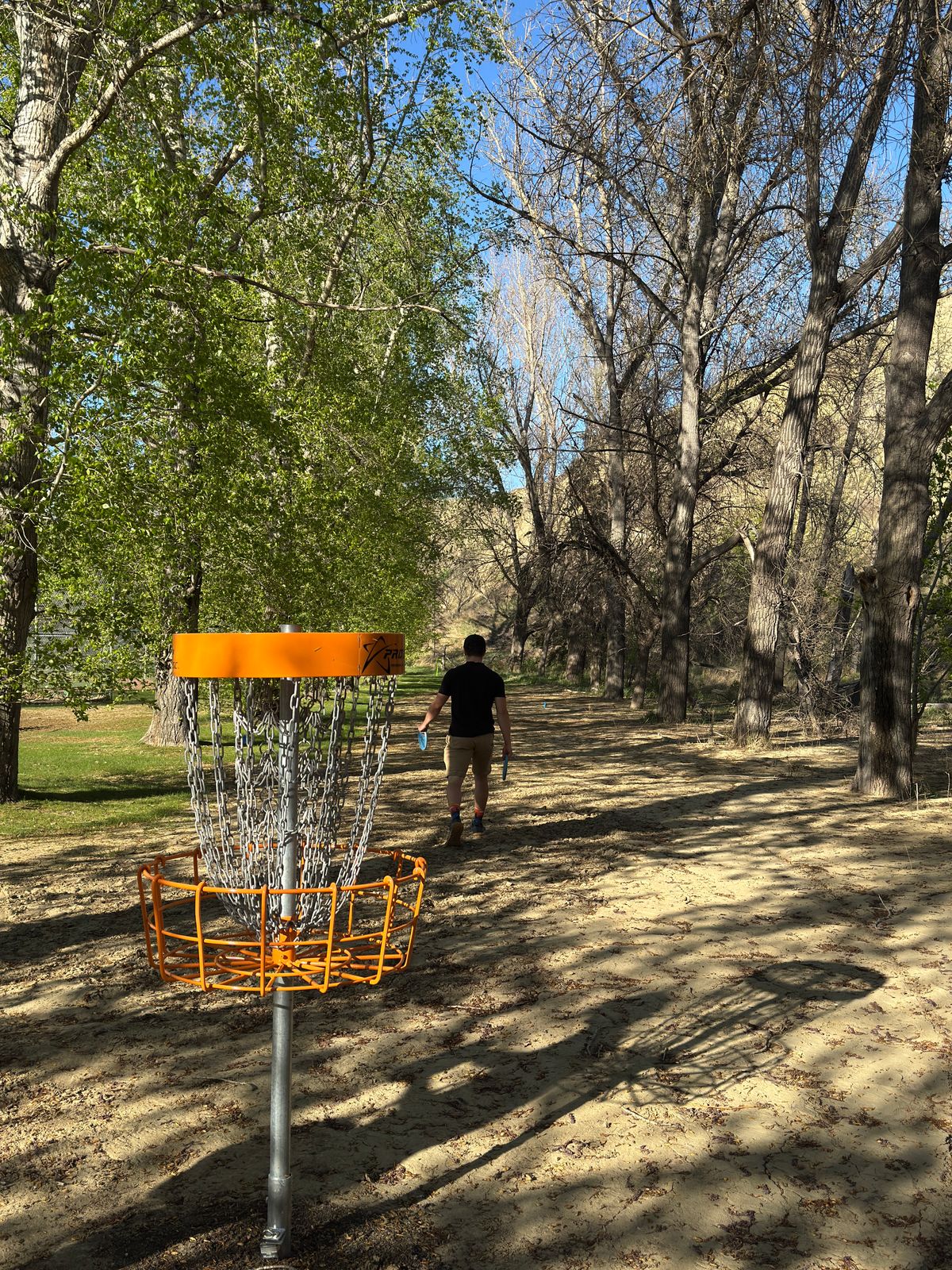 Hole 5 / Back view