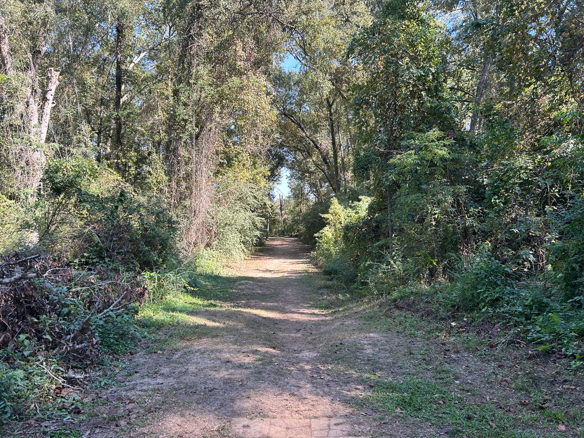Hole 14 Fairway