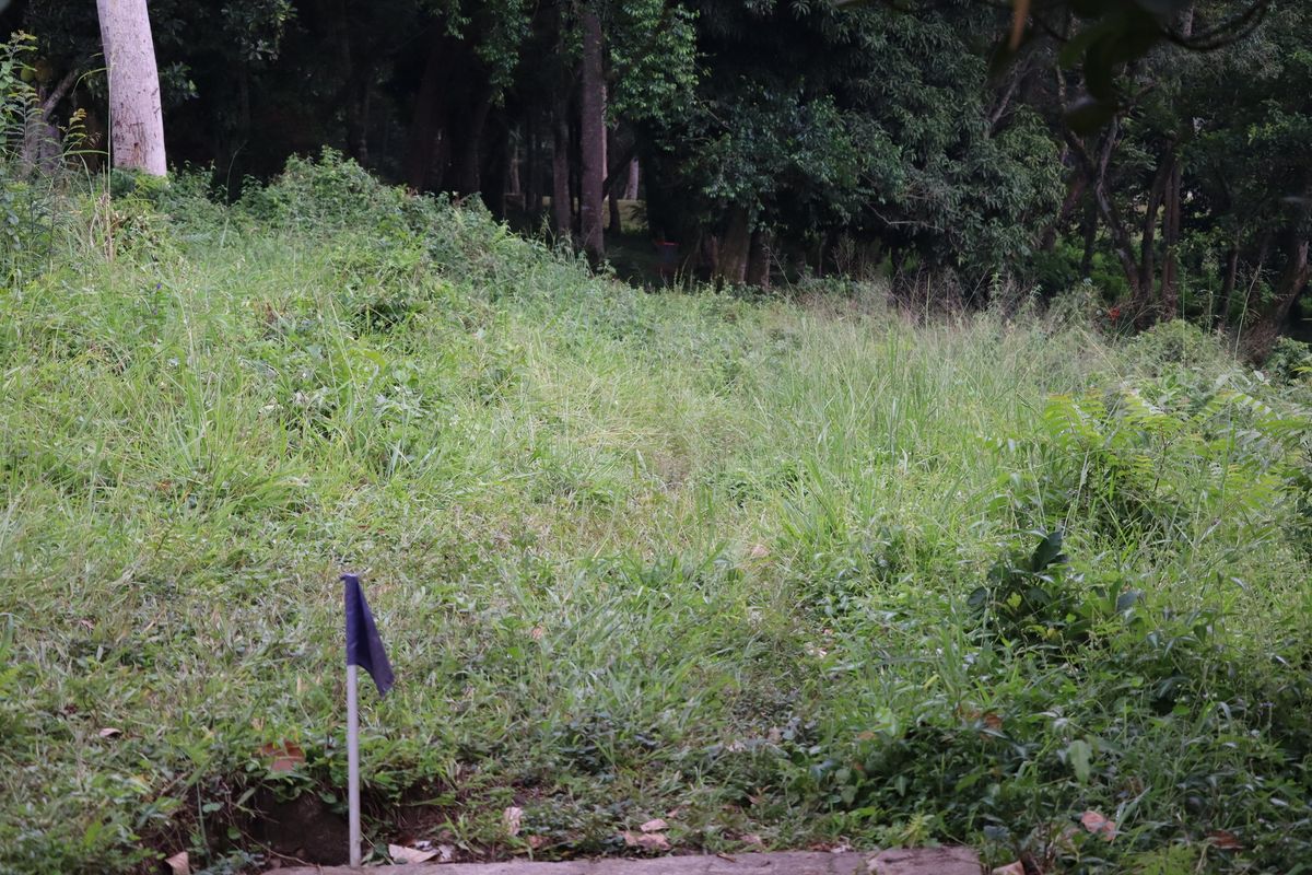 Hole 6 Long Tee