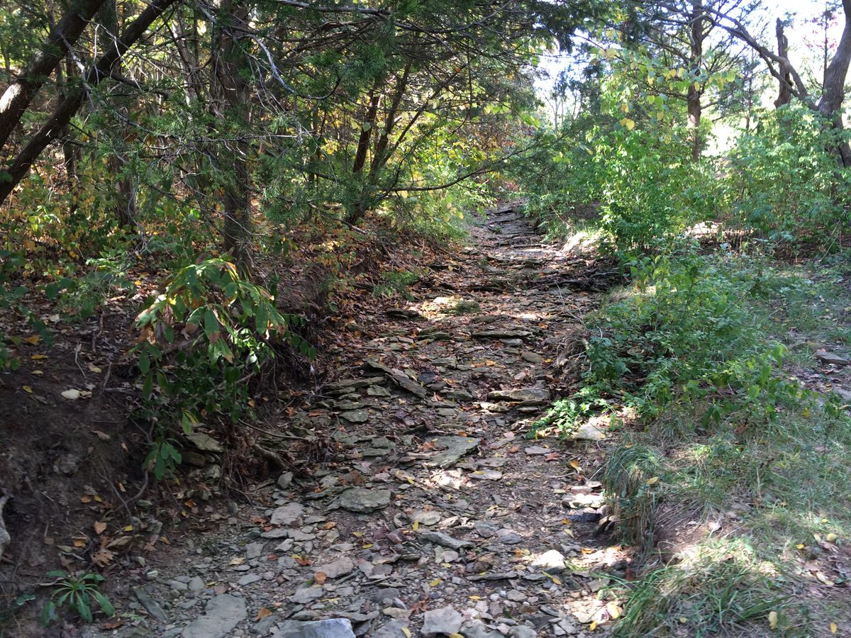 Hole 15