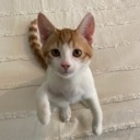 User avatar image