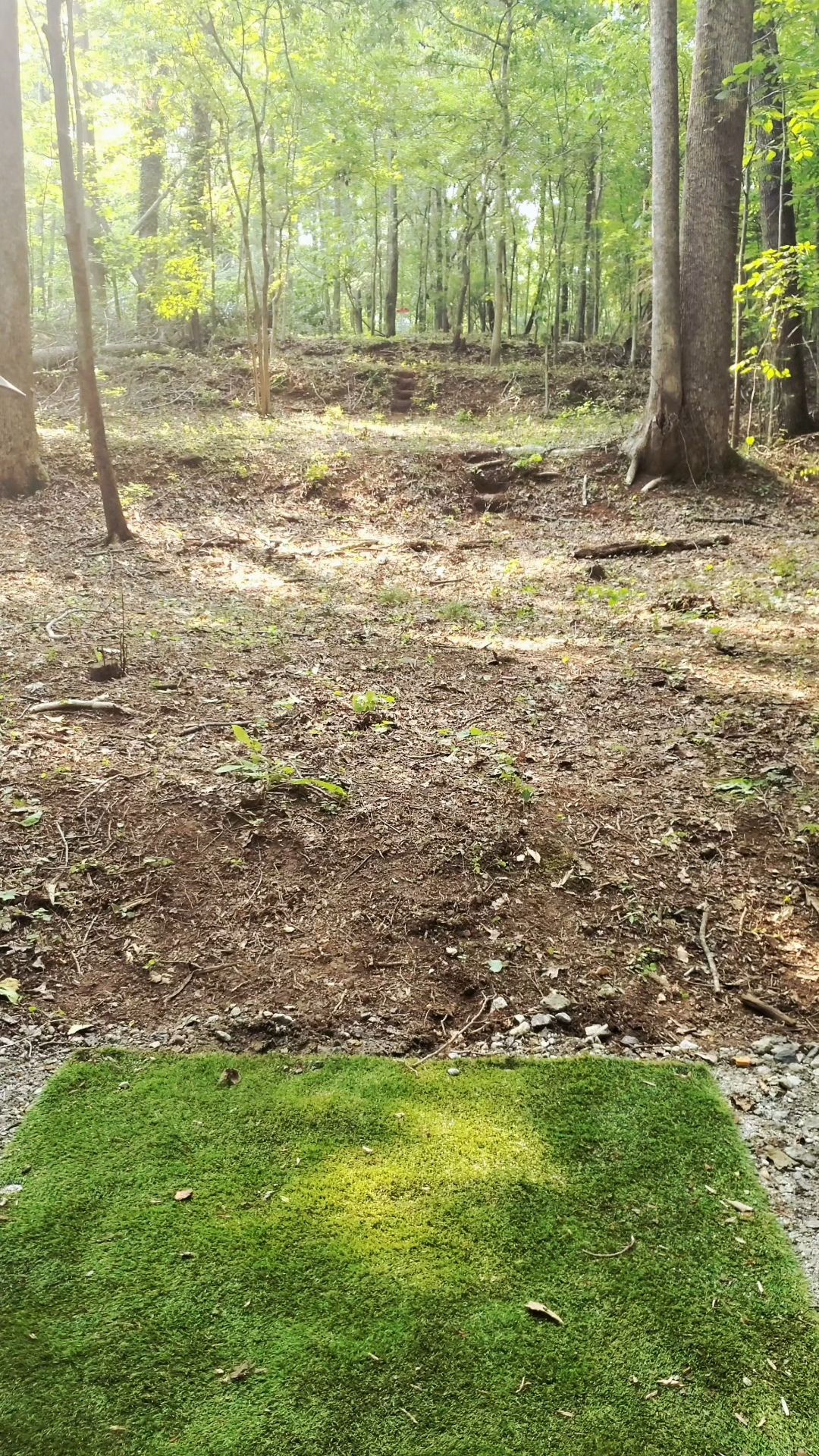Hole 3