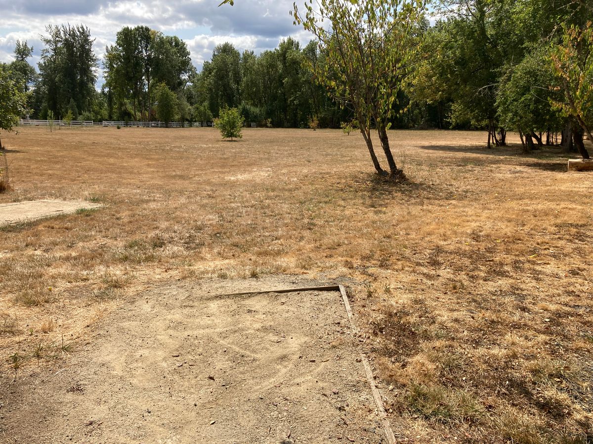 Tee 11