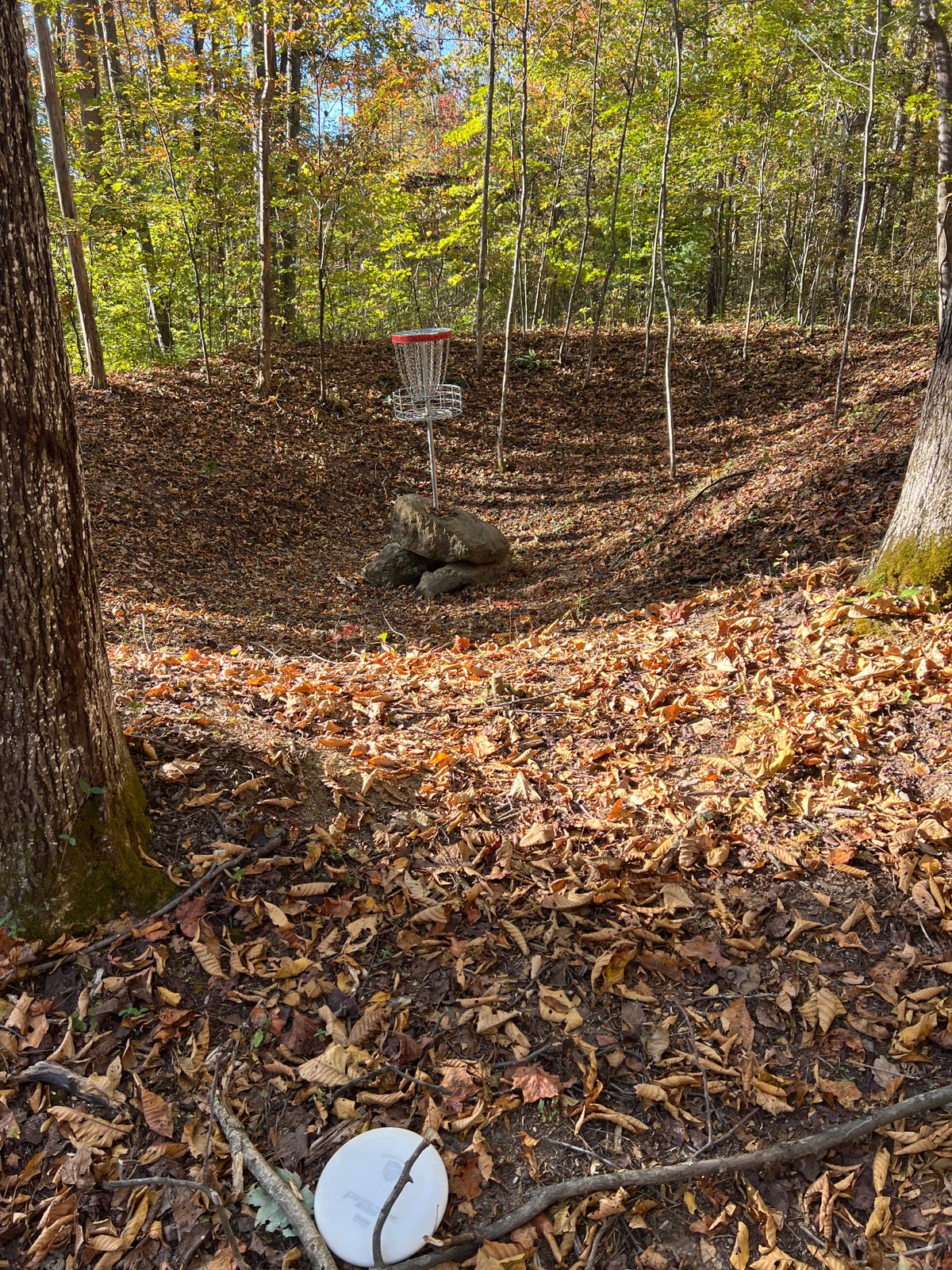 Basket on hole 12
