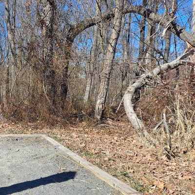 Hit the gap between the two trees and let it sail downhill.