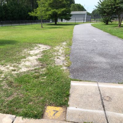 Hole 7 tee