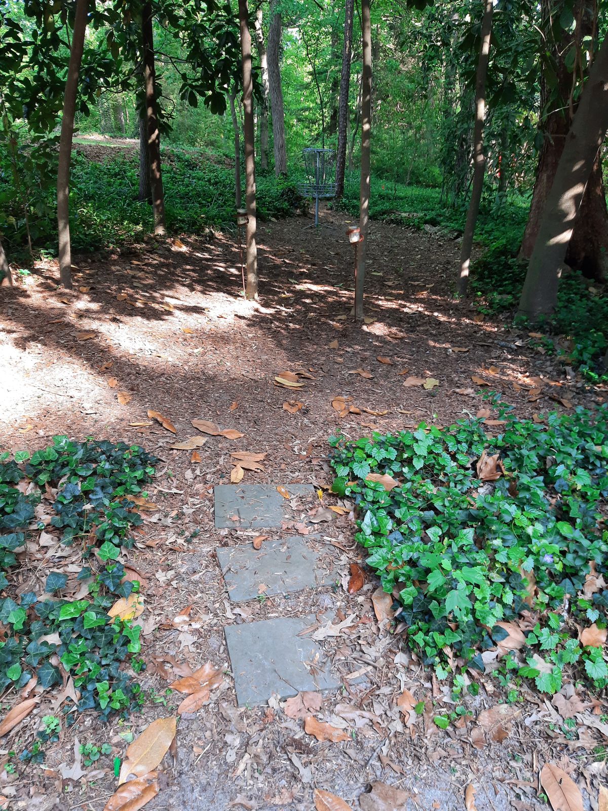 Hole 5 Red Tee