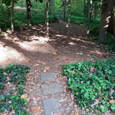 Hole 5 Red Tee