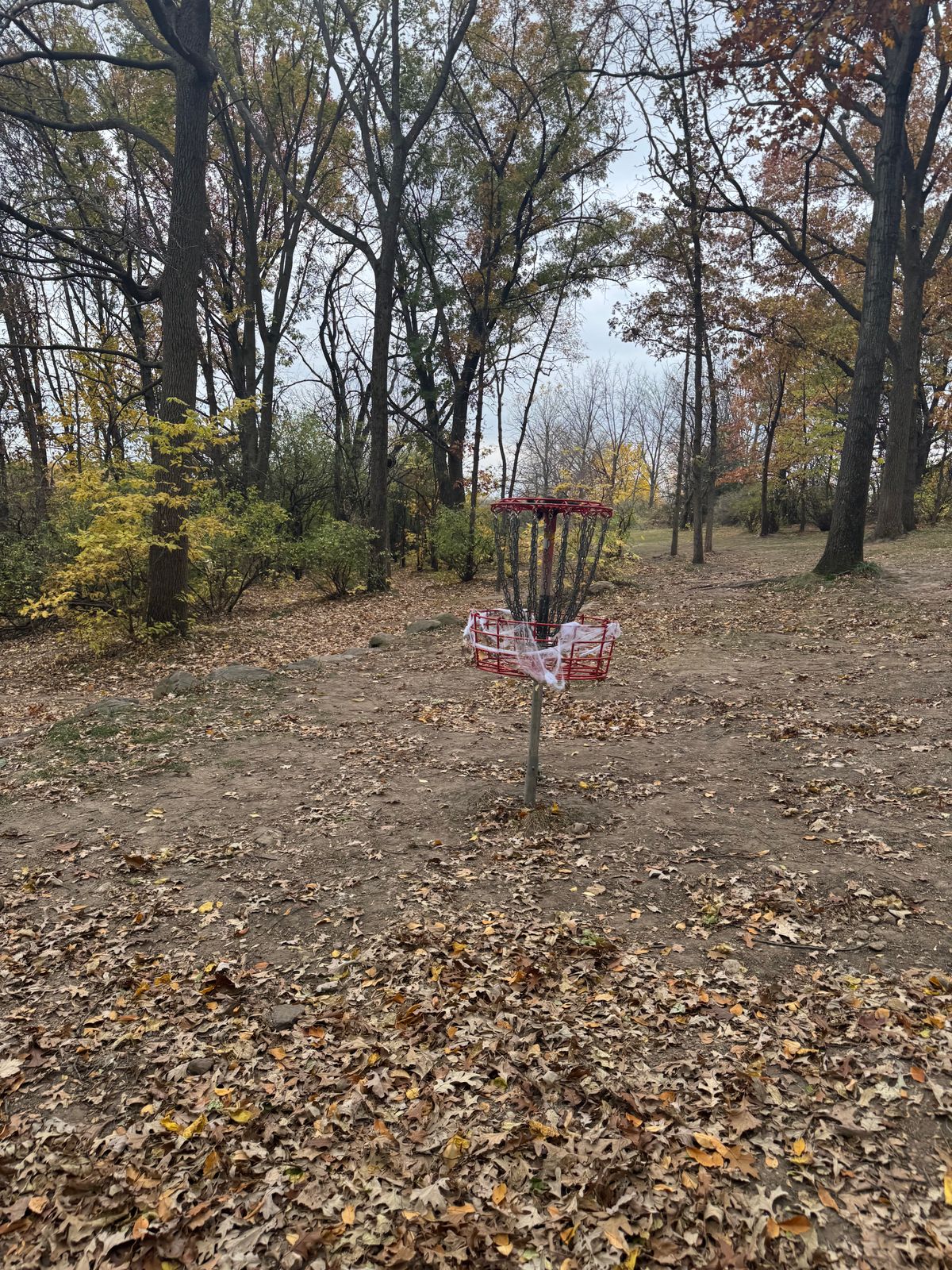 Hole 2s basket during Halloween