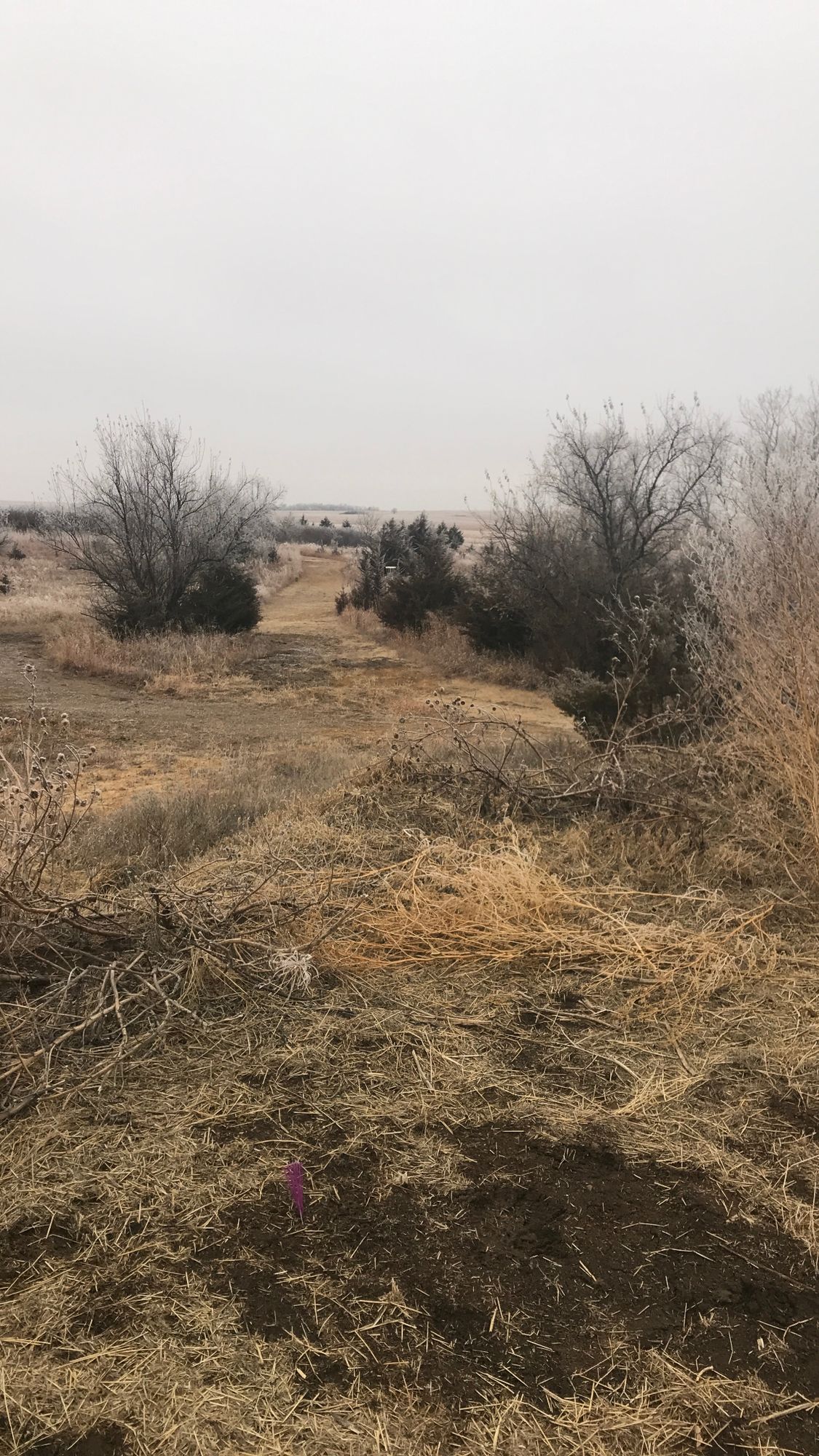 Hole 6