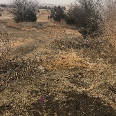Hole 6