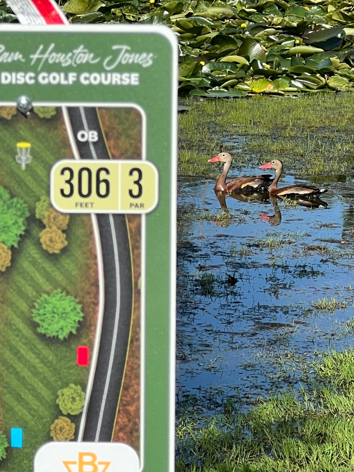 spectators on hole #1