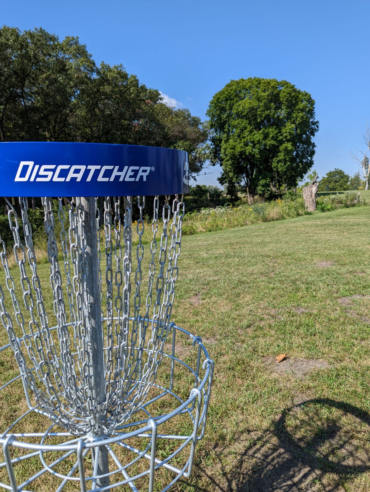 Hole 3 - Hawk in the tree behind!