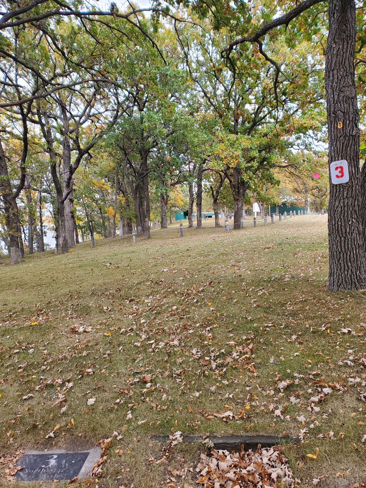 #3 Tee