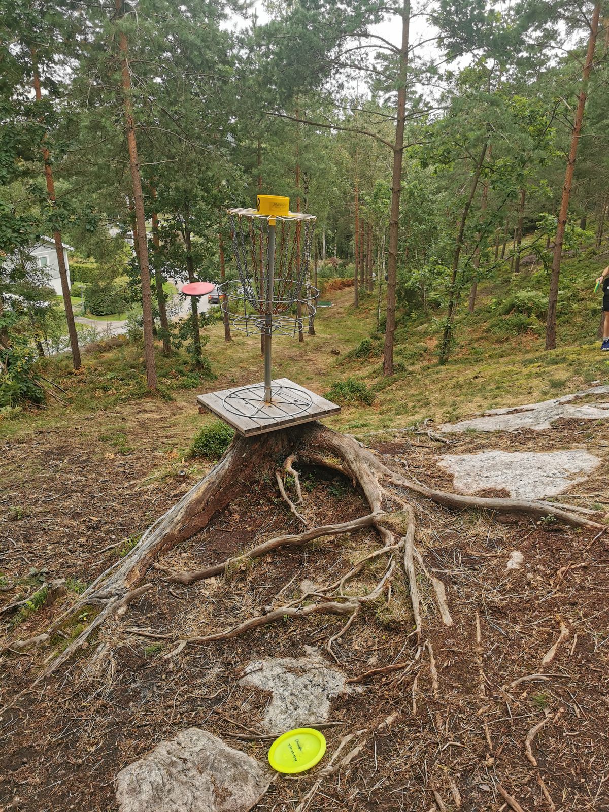 Hål 8