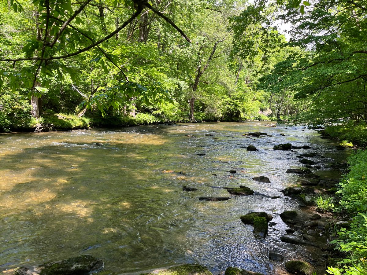 River scenery