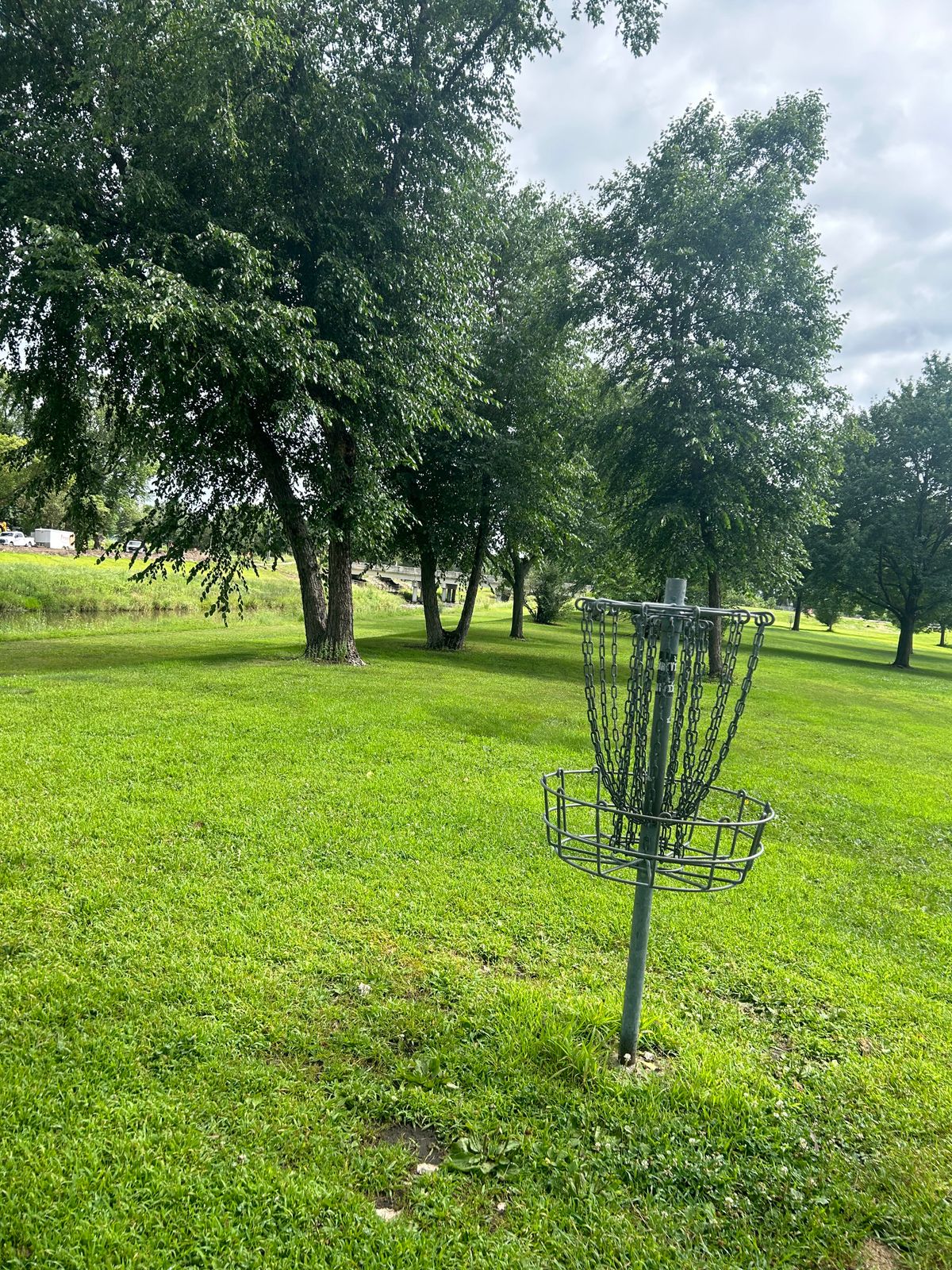 Hole 5 basket looking back towards teepad