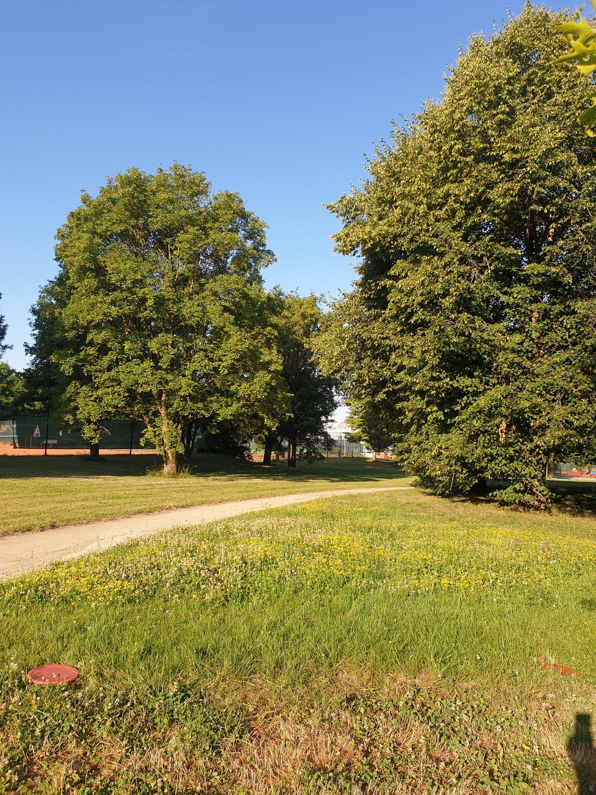 Bahn 2