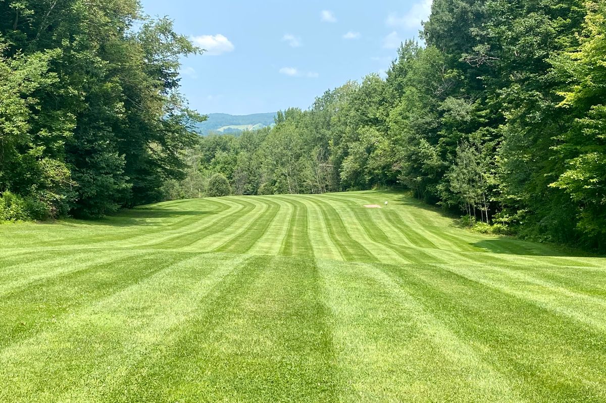 Hole 12 gold tee