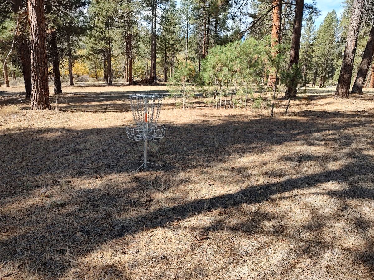 Hole 11/18 Basket. Looking back towards 11 Tee.