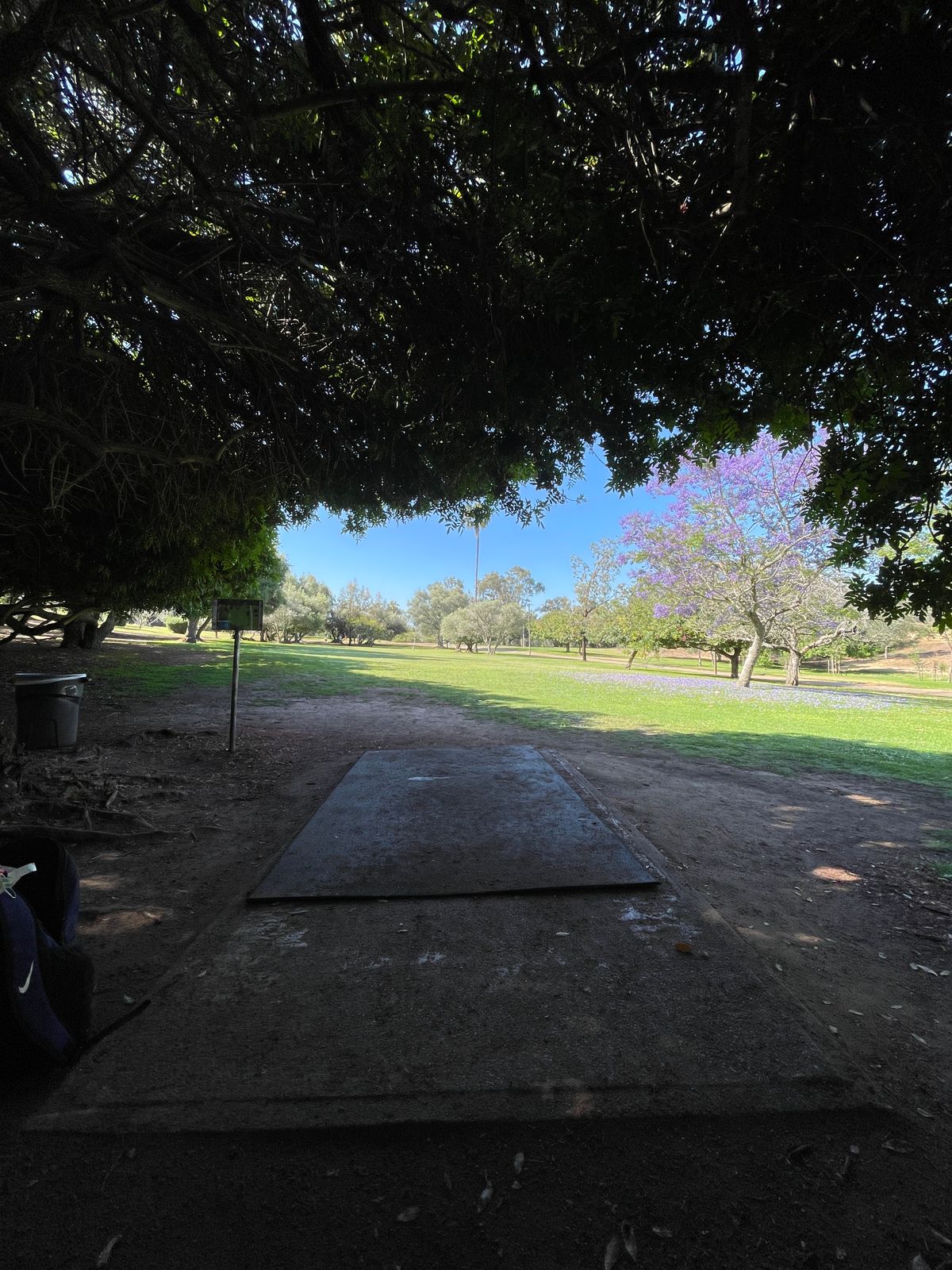 Hole 8 tee