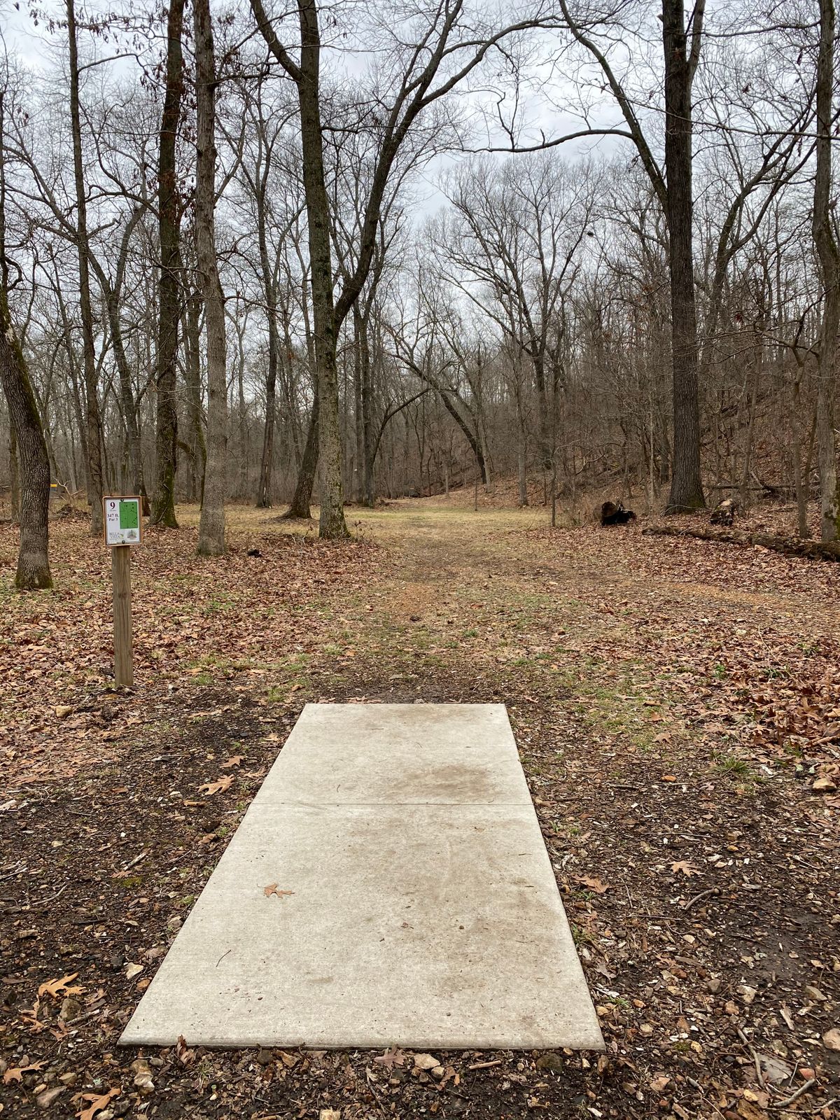 Hole 9