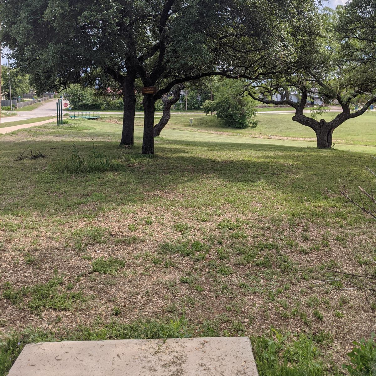 Hole 3 from tee to basket. Be mindful of the mando on the first tree to the left.