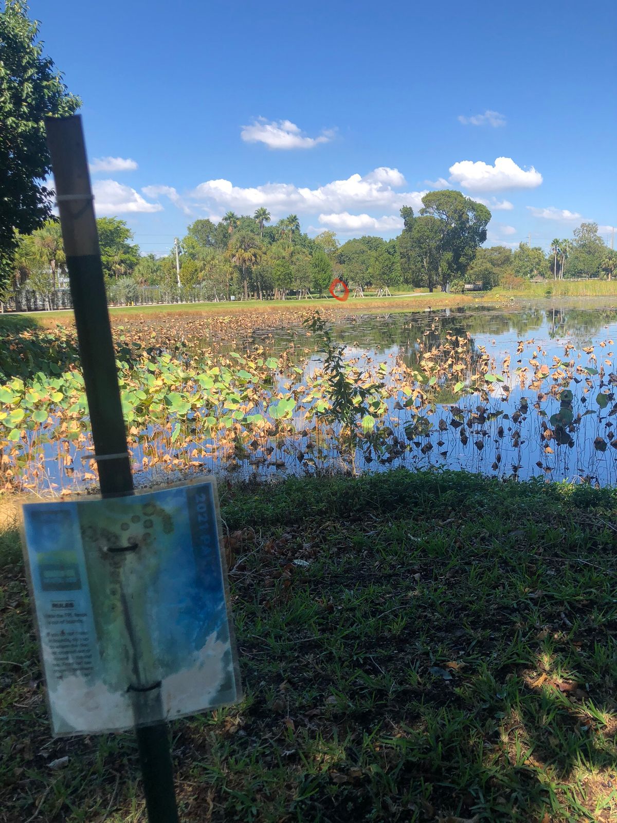 Looooong over the water shot on 8. Nope, nope, nope.