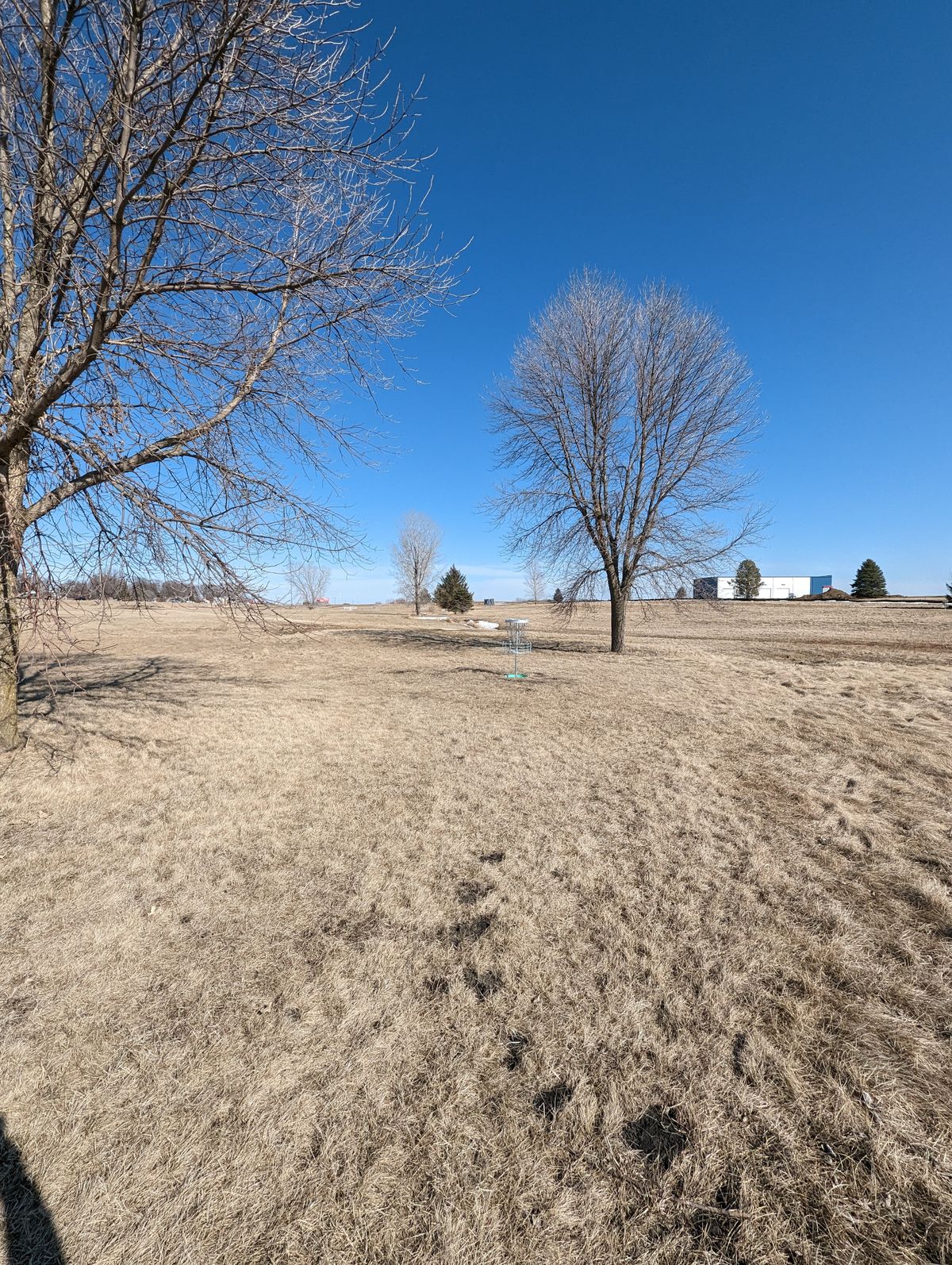 Hole 1 Basket