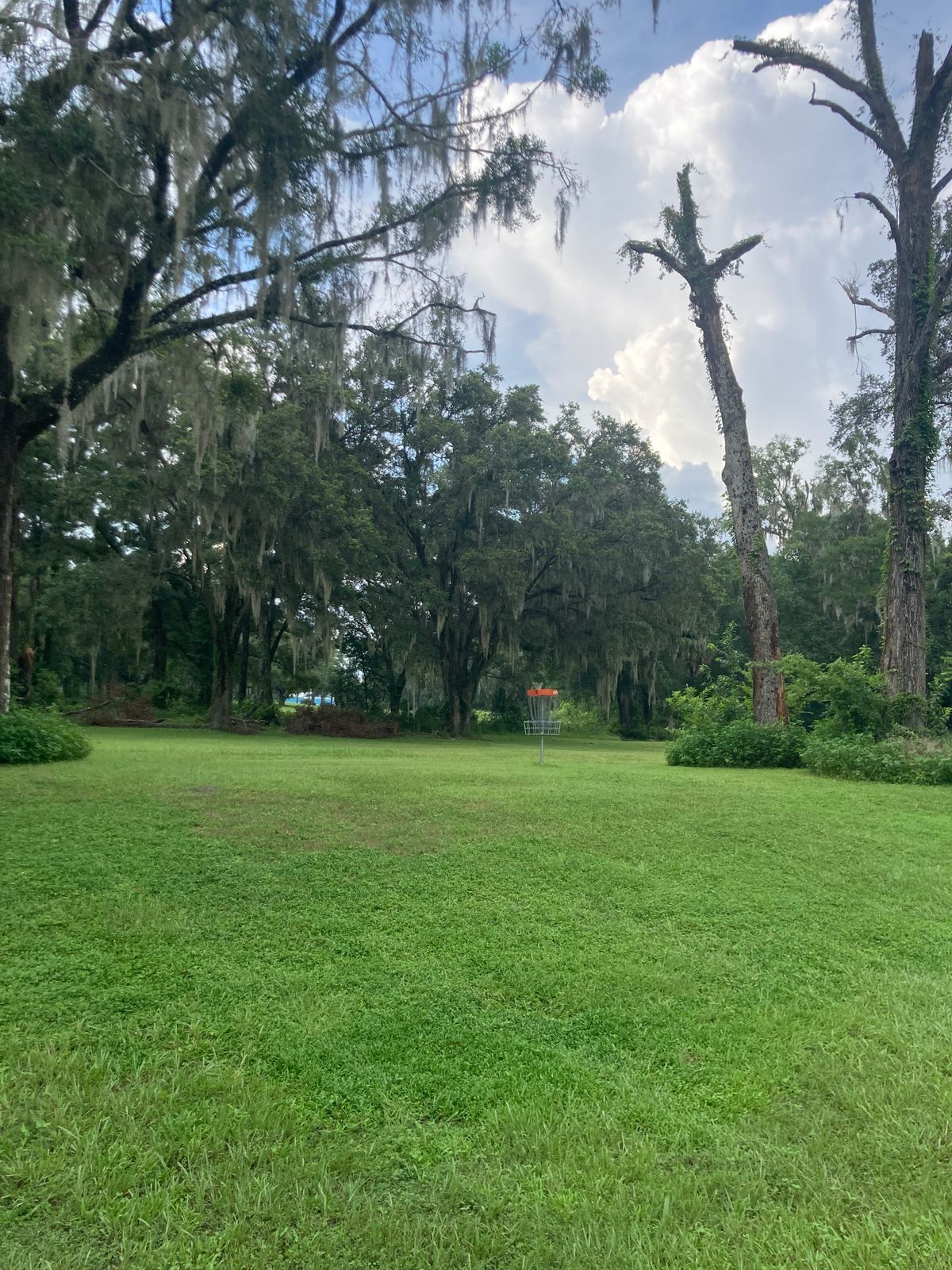 Hole 5 Basket