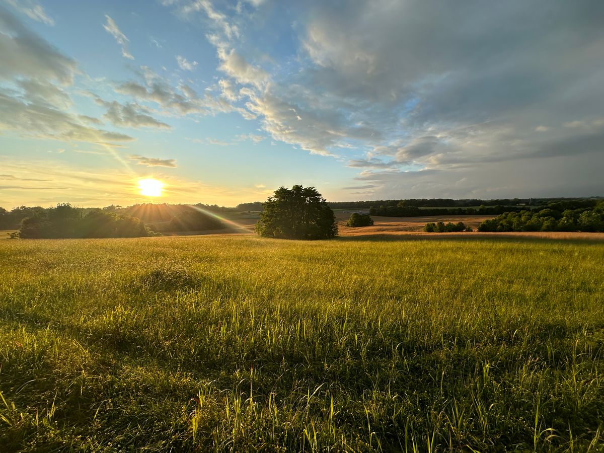Sunset near hole 2 and 18.