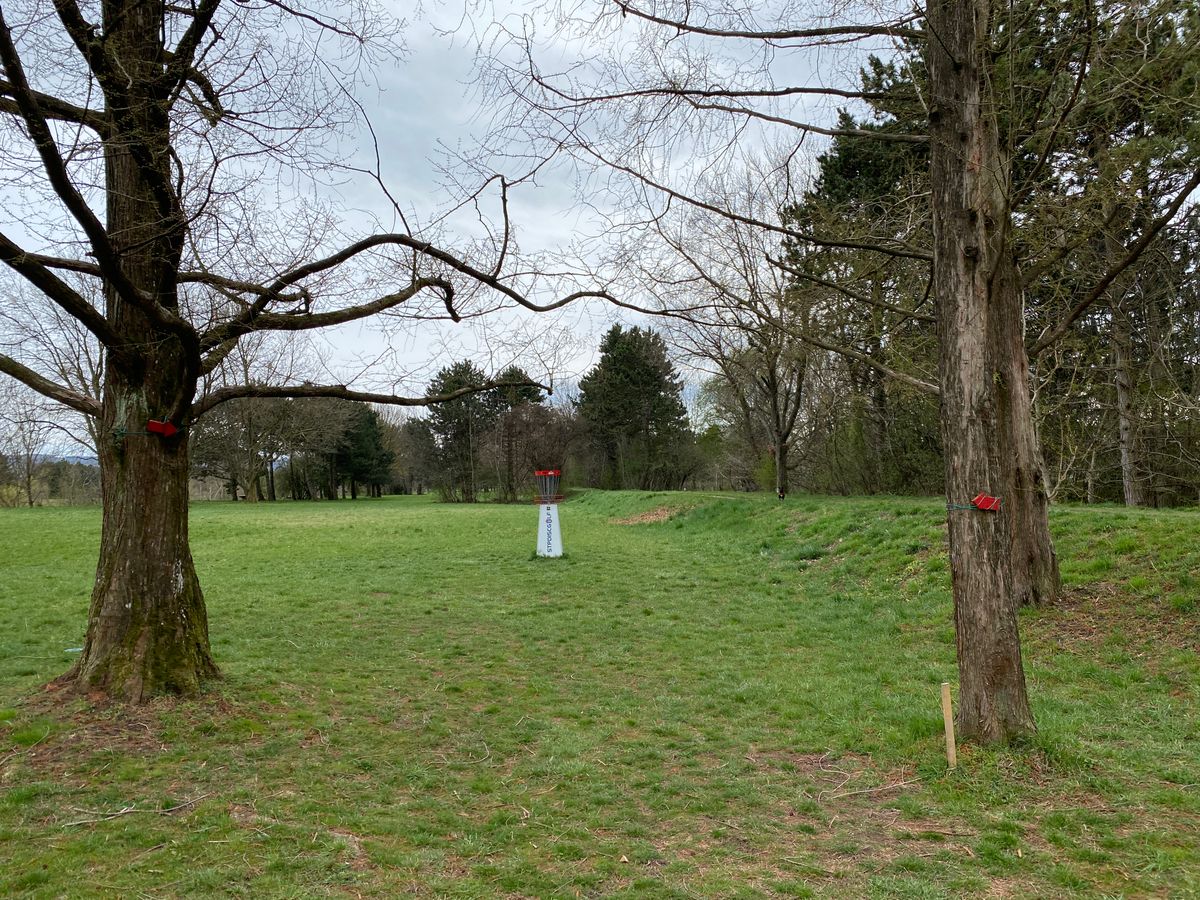 Hole 8 double mando to force a fairway on a relatively open hole. Good elevated basket placement.