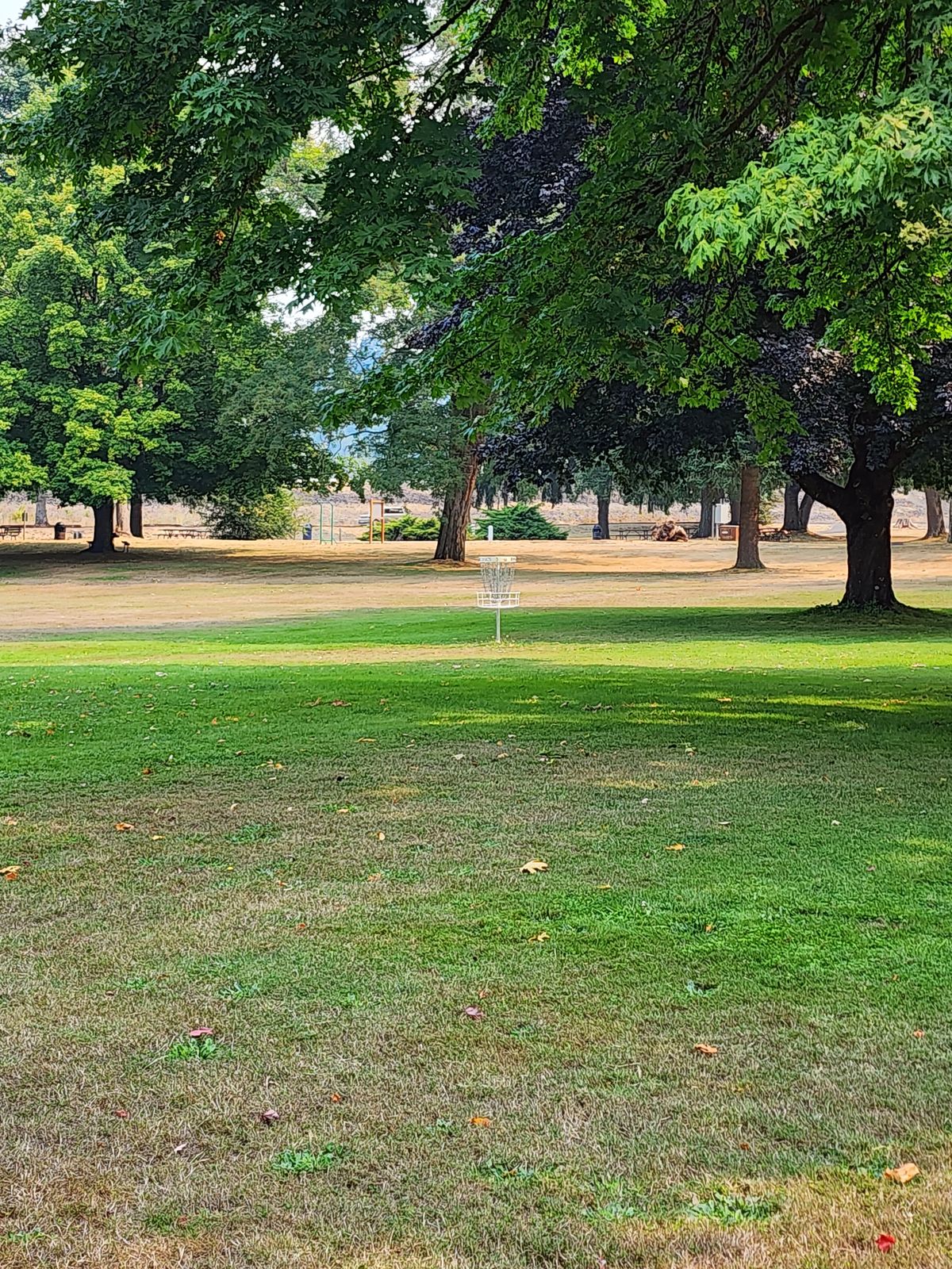 Hole #5 basket