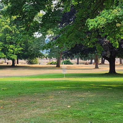 Hole #5 basket