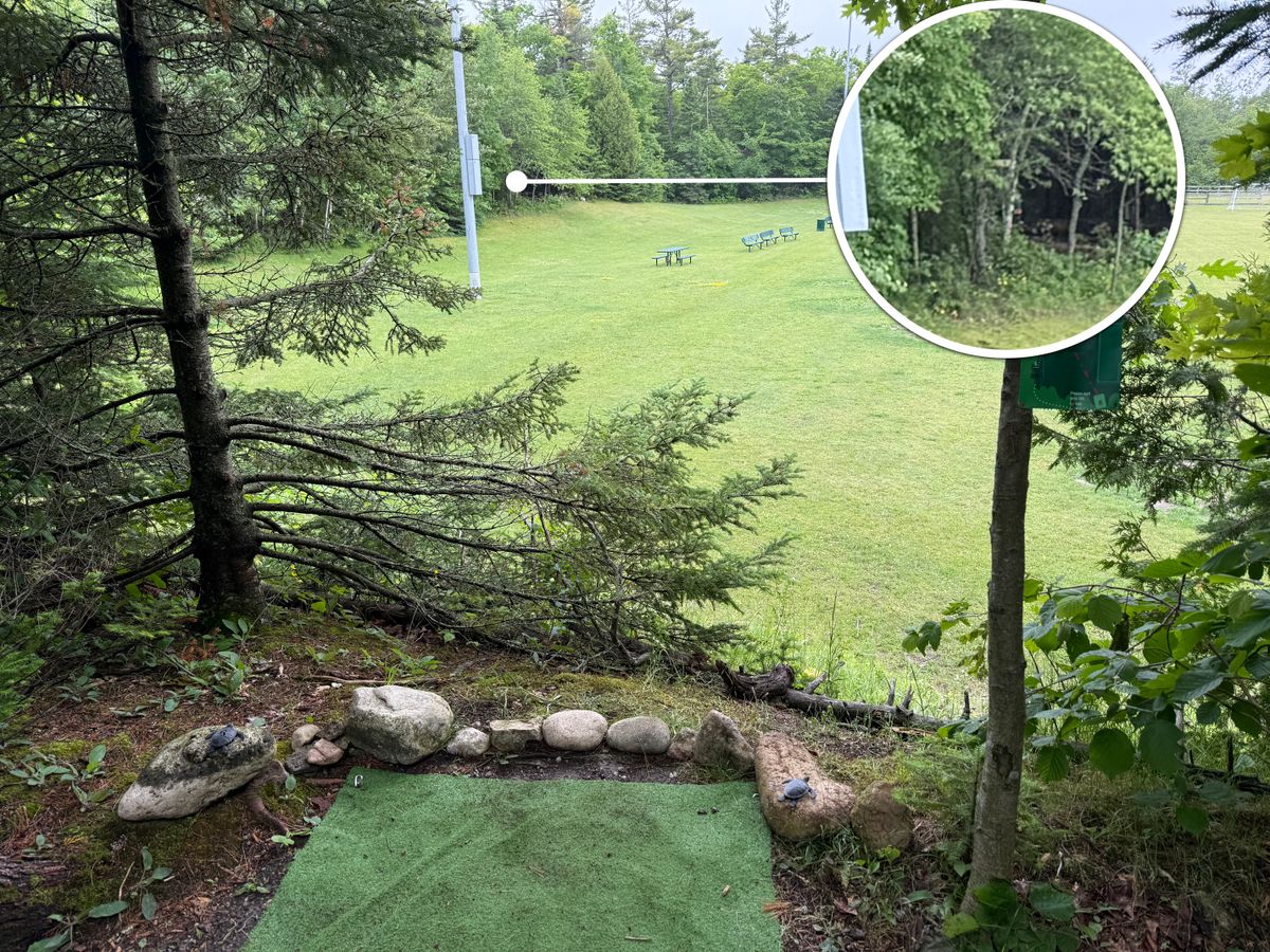 Hole 6 - tee from elevated pin into thick trees.