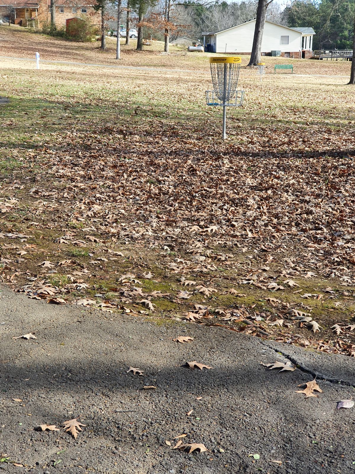 hole 6 basket